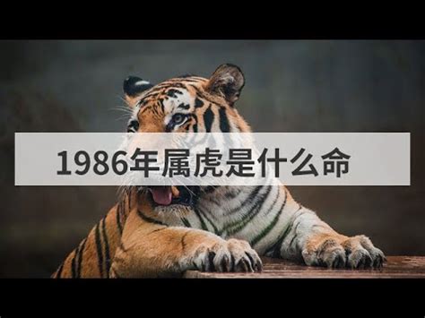 86出生 是什麼年